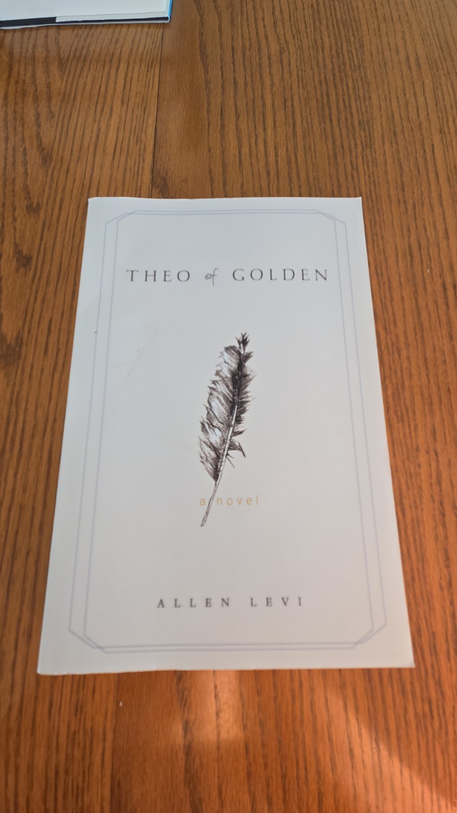 Theo of Golden by Allen Levi Paperback