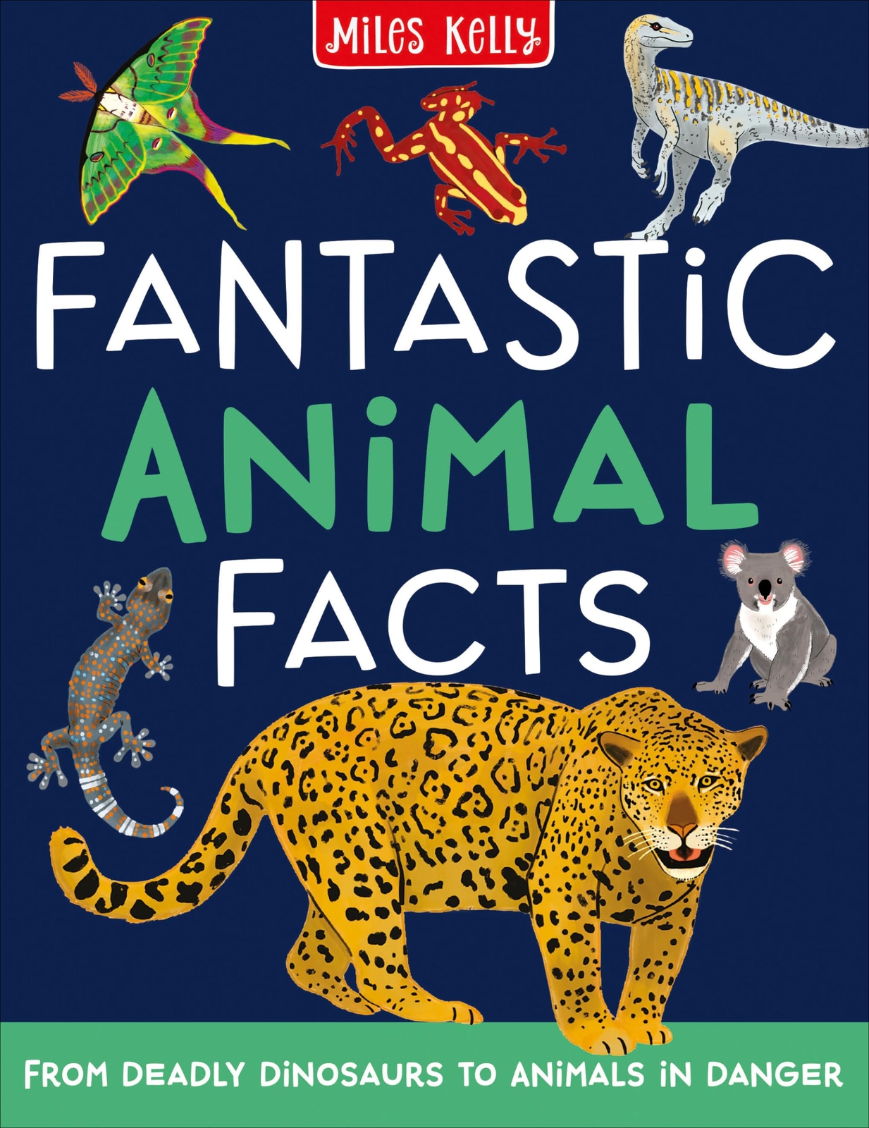 Fantastic Animal Facts – Miles Kelly – Paperback – Good