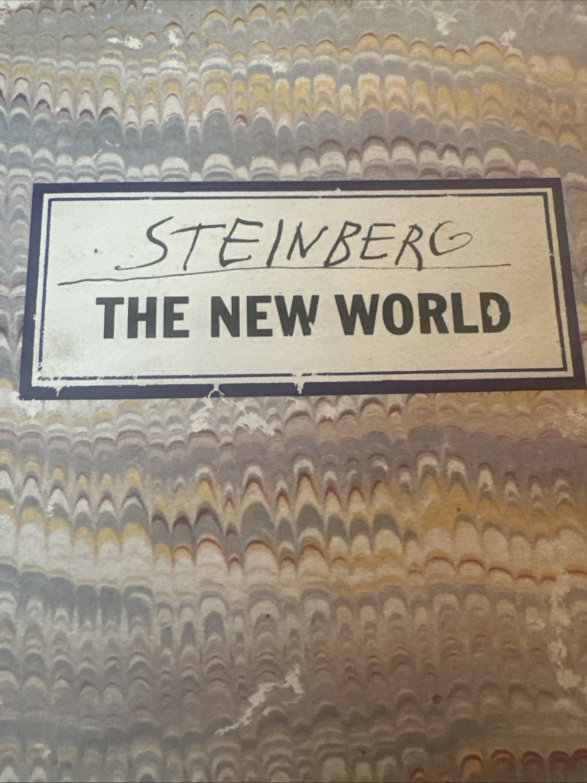THE NEW WORLD,1965,Saul Steinberg,1st Edition,DJ