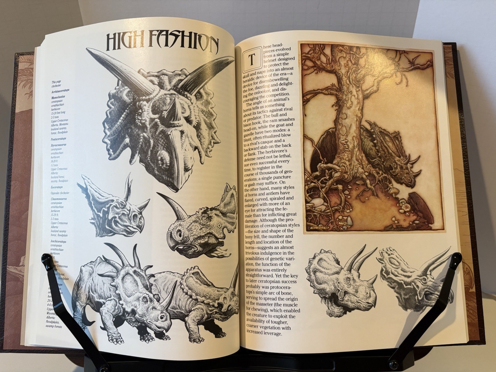The Dinosaurs, Signed Limited 1st Edition 1981, 163/250 AP, Stout, Service