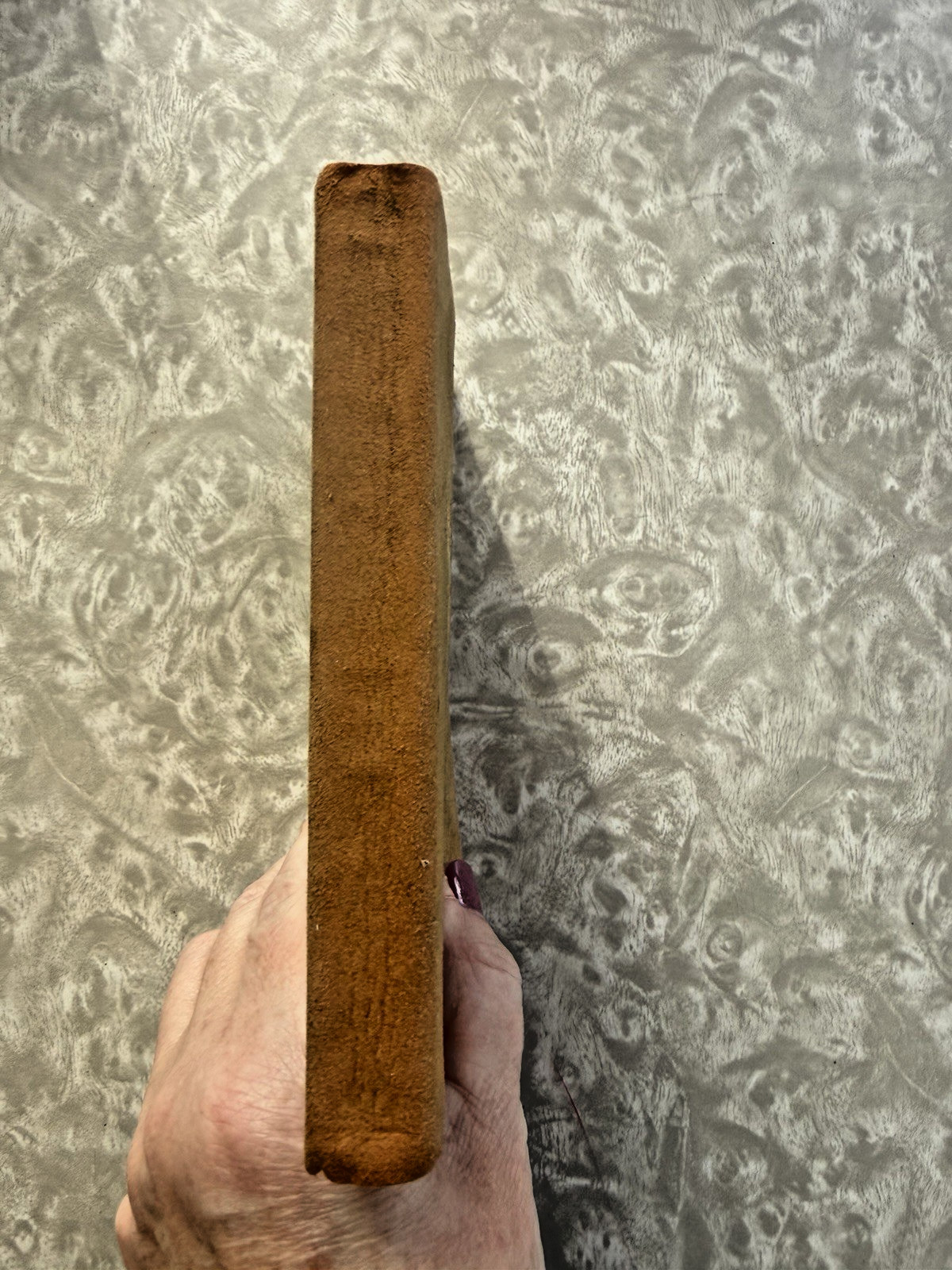 RARE Sesame and Lilies by John Ruskin Leatherbound Gilt Cover Dodge Publishing