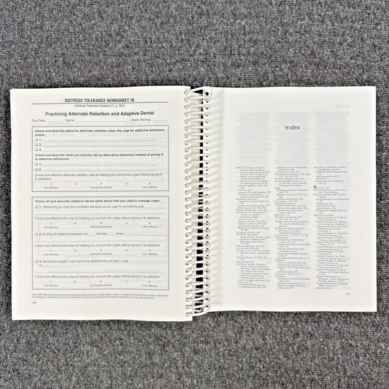 DBT Skills Training Handouts and Worksheets by Marsha M. Linehan, Like New