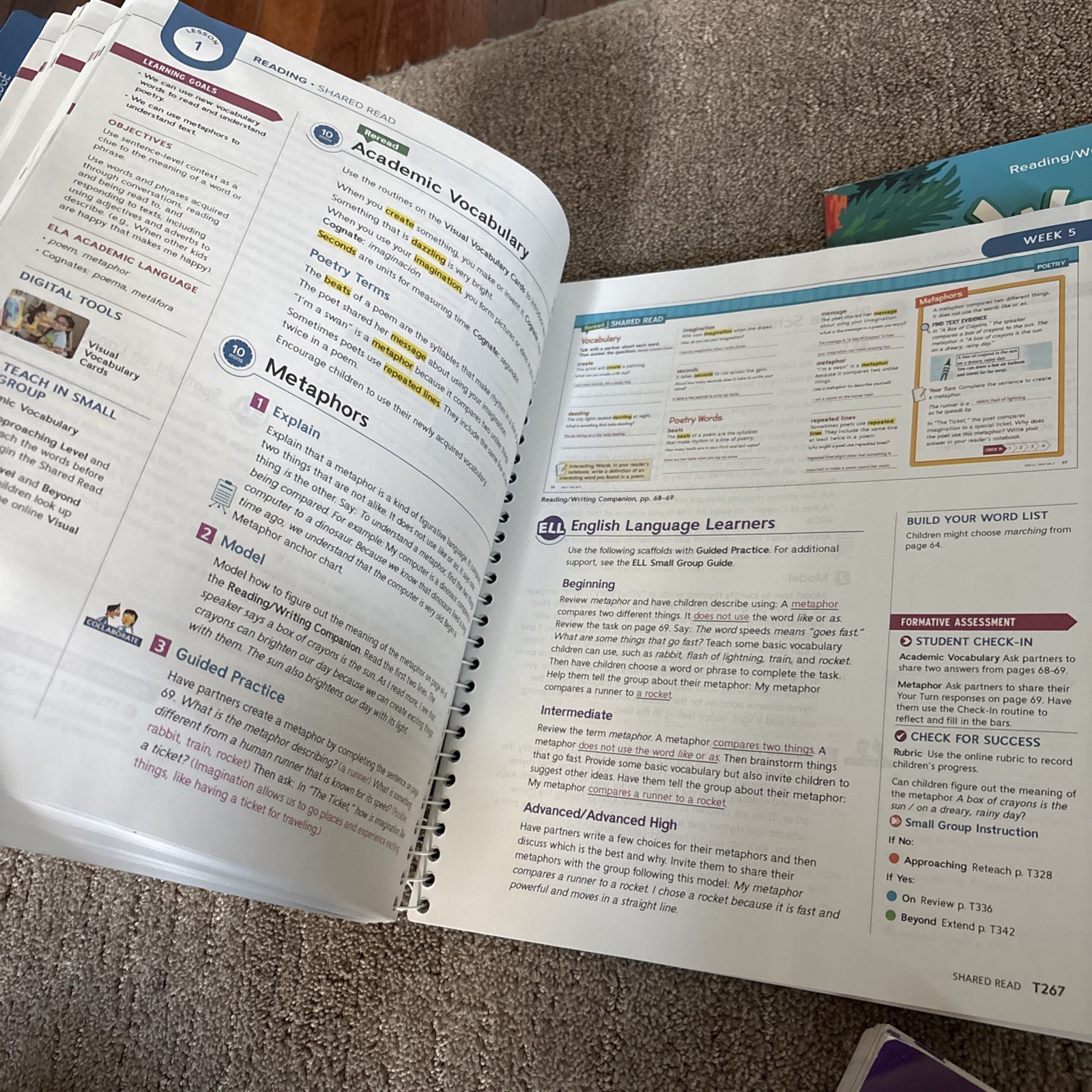 MCGRAW HILL Wonders – Teachers Edition Reading Education Book – Grade 2 / Unit 6