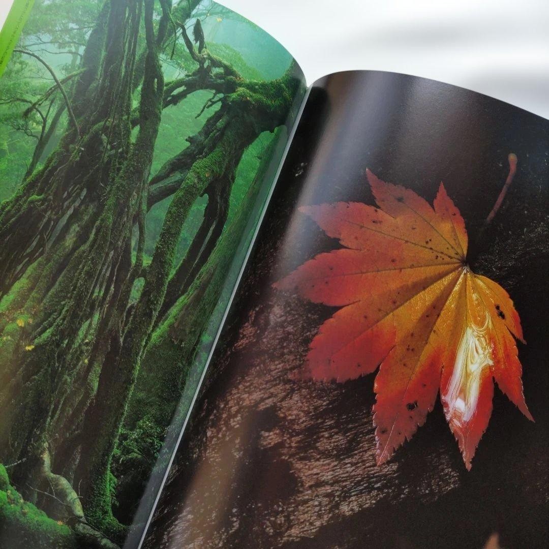World Heritage Site Yakushima Kazuyoshi Miyoshi Photo Collection From Japan