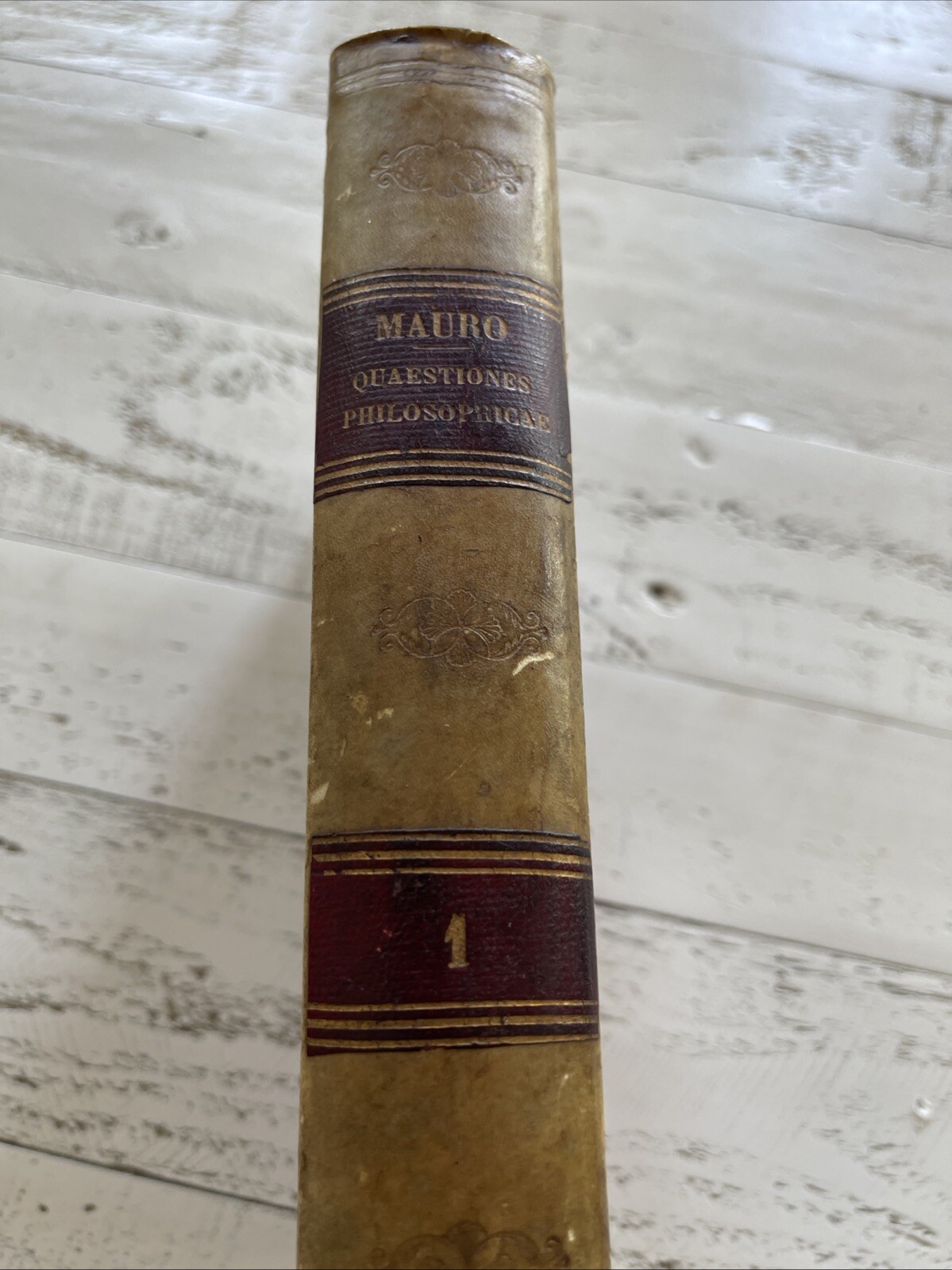 Quaestiones Philosophicae Vol. 1 by Sylvestro Mauro, 1875 Catholic Work