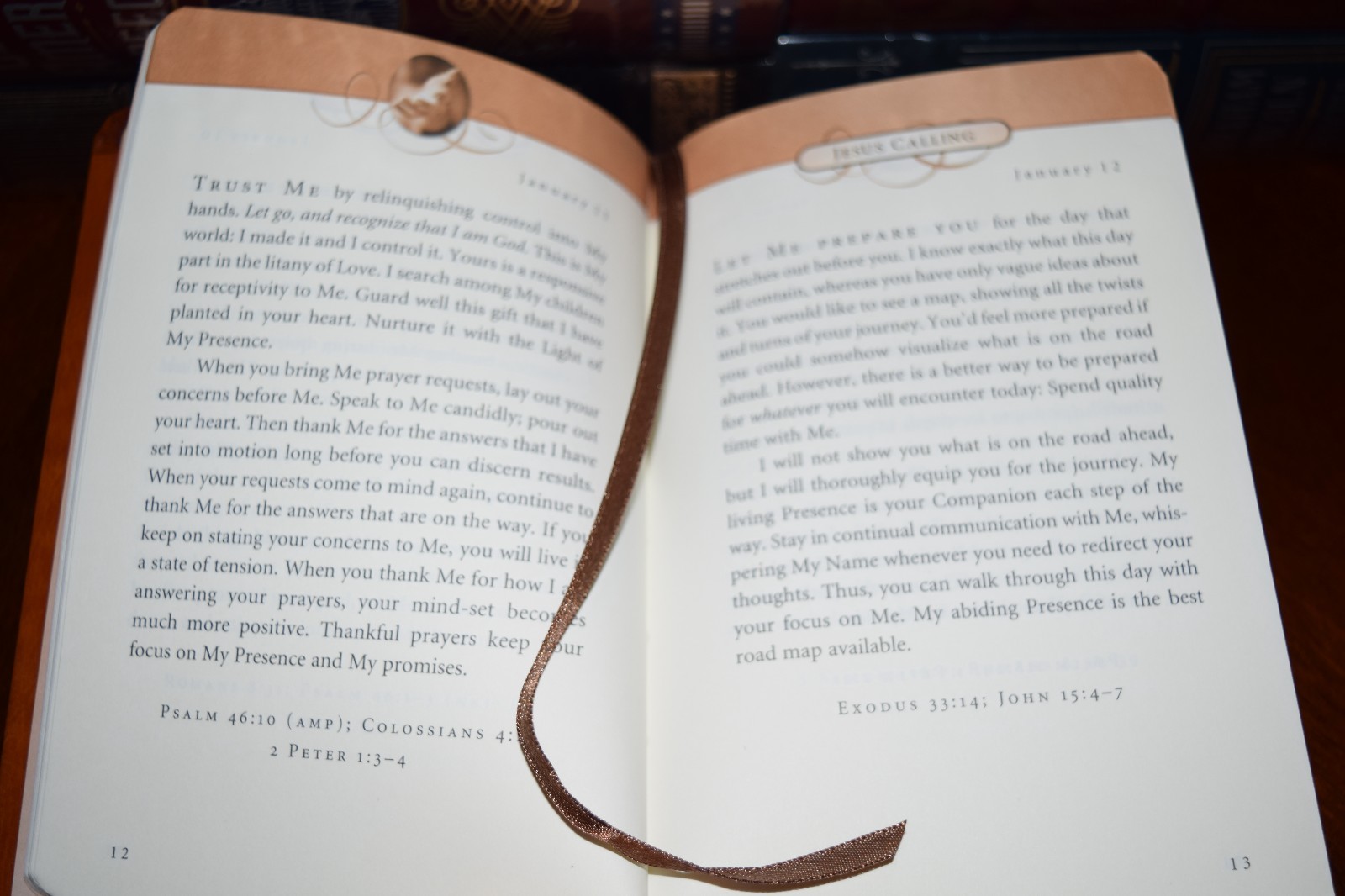 Jesus Calling by Sarah Young Peace Brand New Deluxe Soft Leather Bound Edition