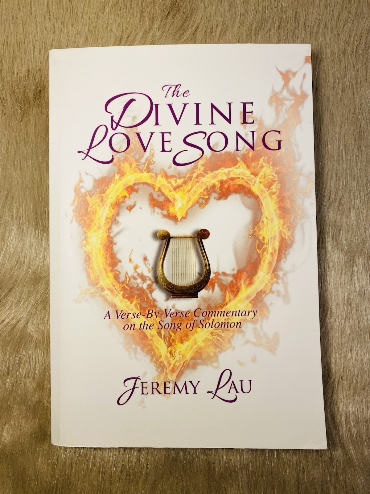 The Divine Love Song By Jeremy Lau
