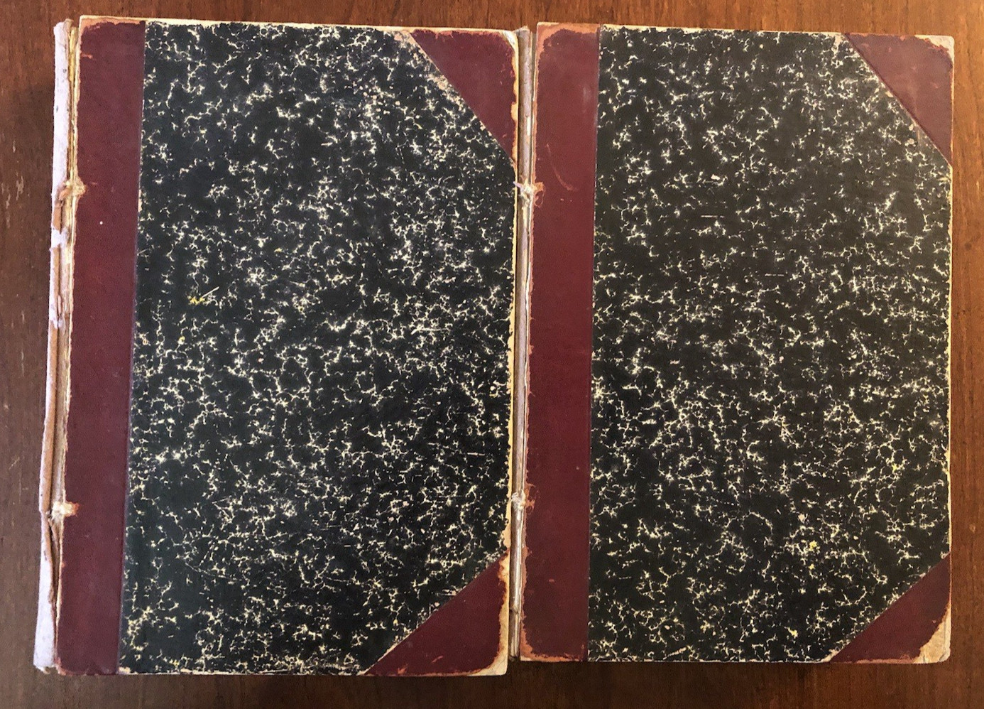 BOOKLOVERS MAGAZINE 1903 bound volumes 1 & 2 *Fragile Vintage Cond-see photos*
