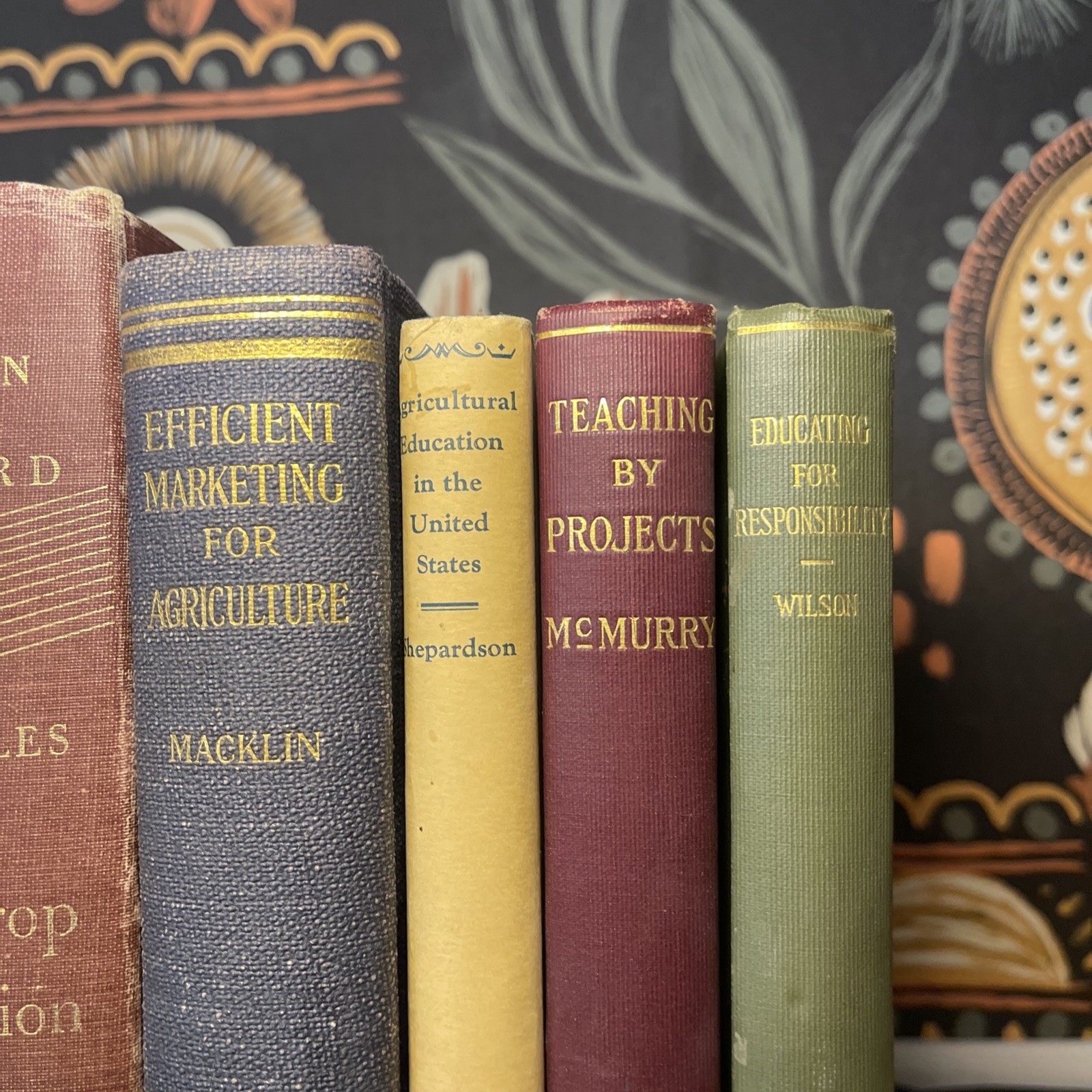 Antique Macmillan Agriculture & Rural Sociology Lot (6) 1920-1929 First Editions