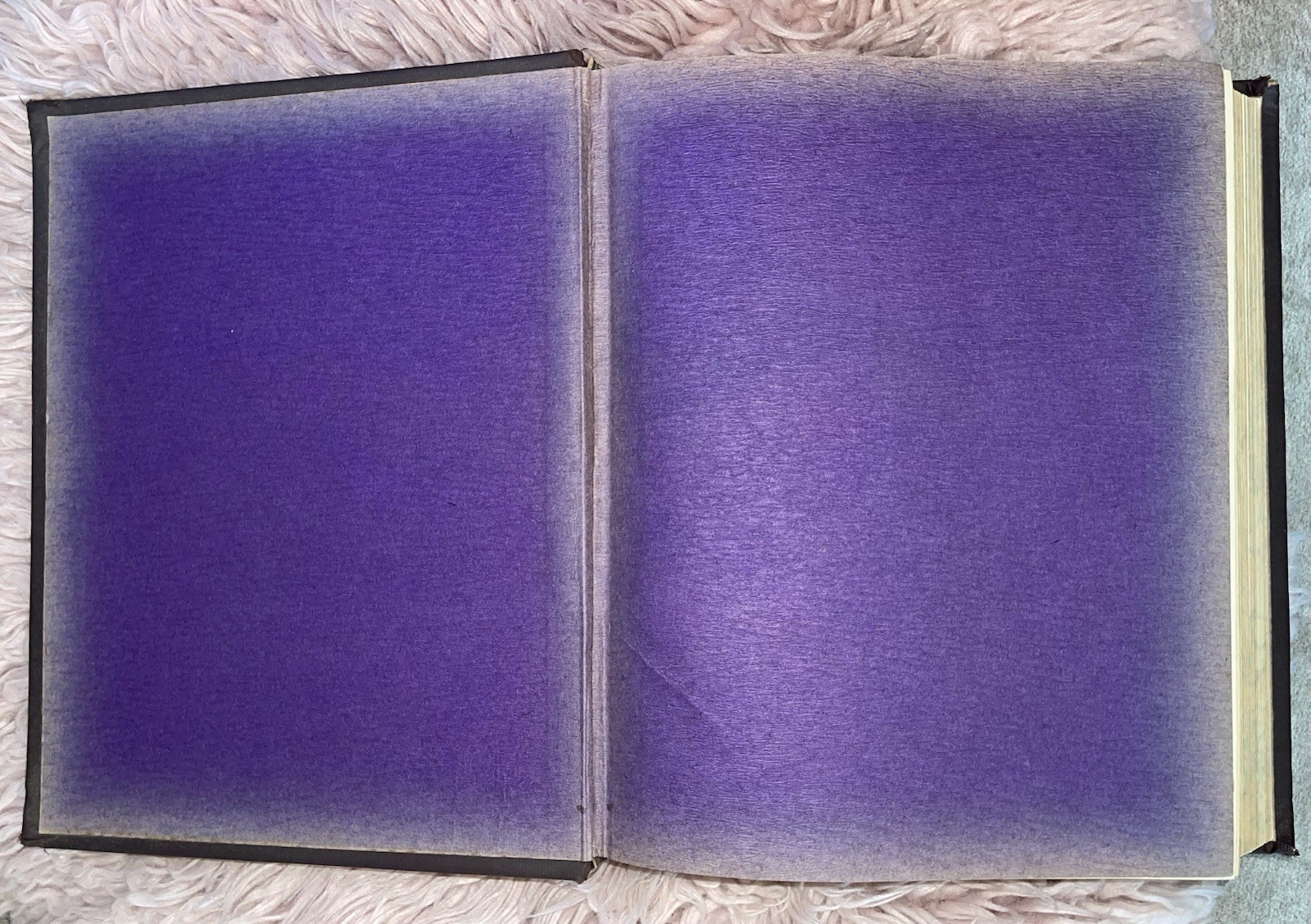 1902 The Catholic Church Alone Five Volumes In One By Rev. M. A. White✝️👀☚☚☚☚☚