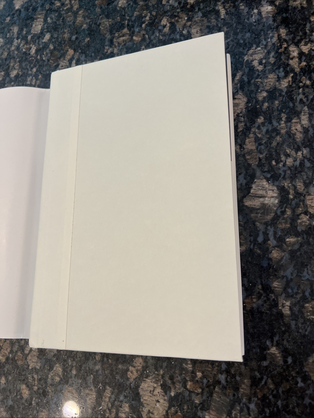 Next Conversation : Argue Less, Talk More by Jefferson Fisher 1st Print SIGNED