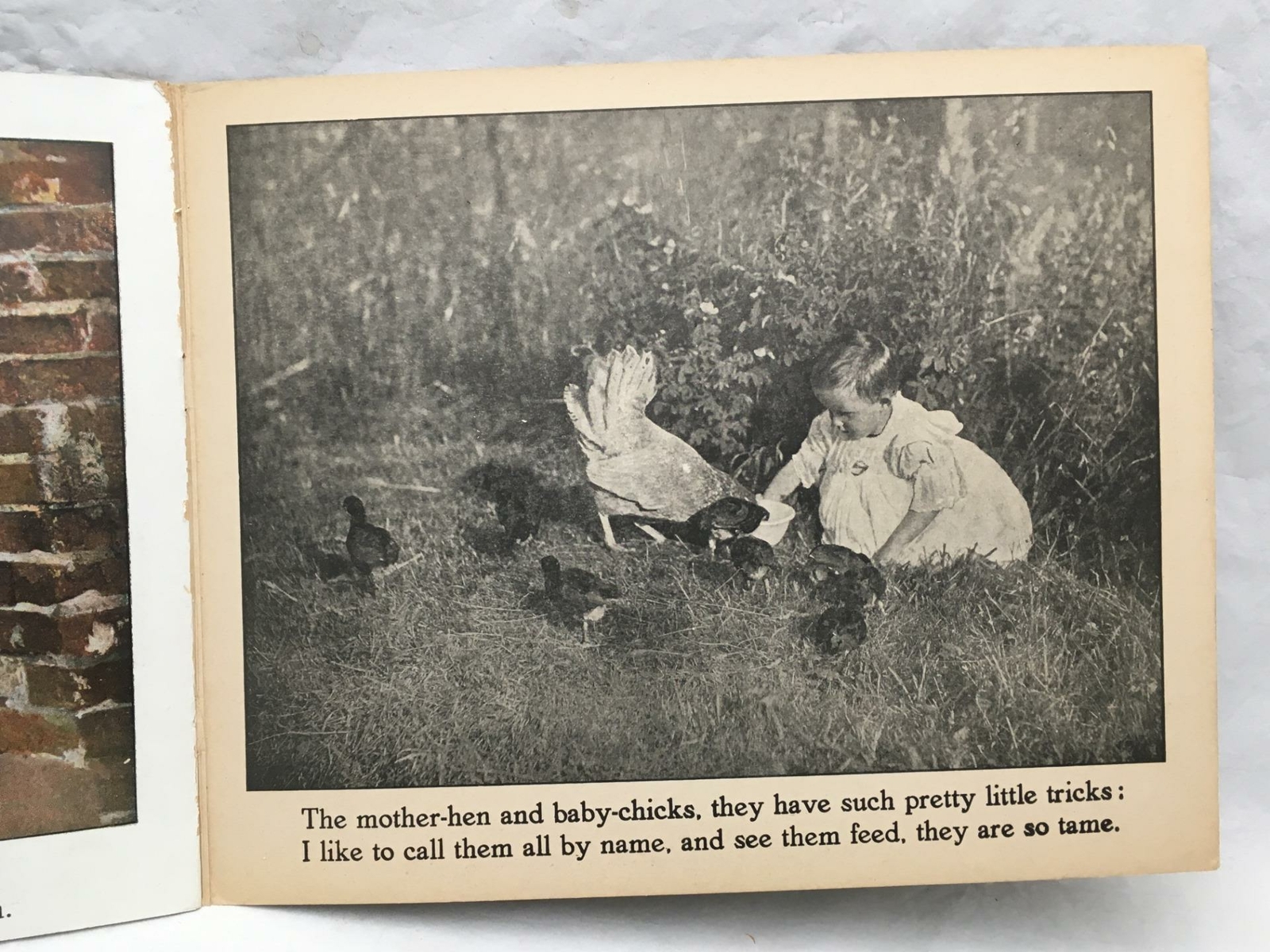 Adorable Antique Children’s Book COUNTRY PLAYMATES Great Color Images 12.25×9.75