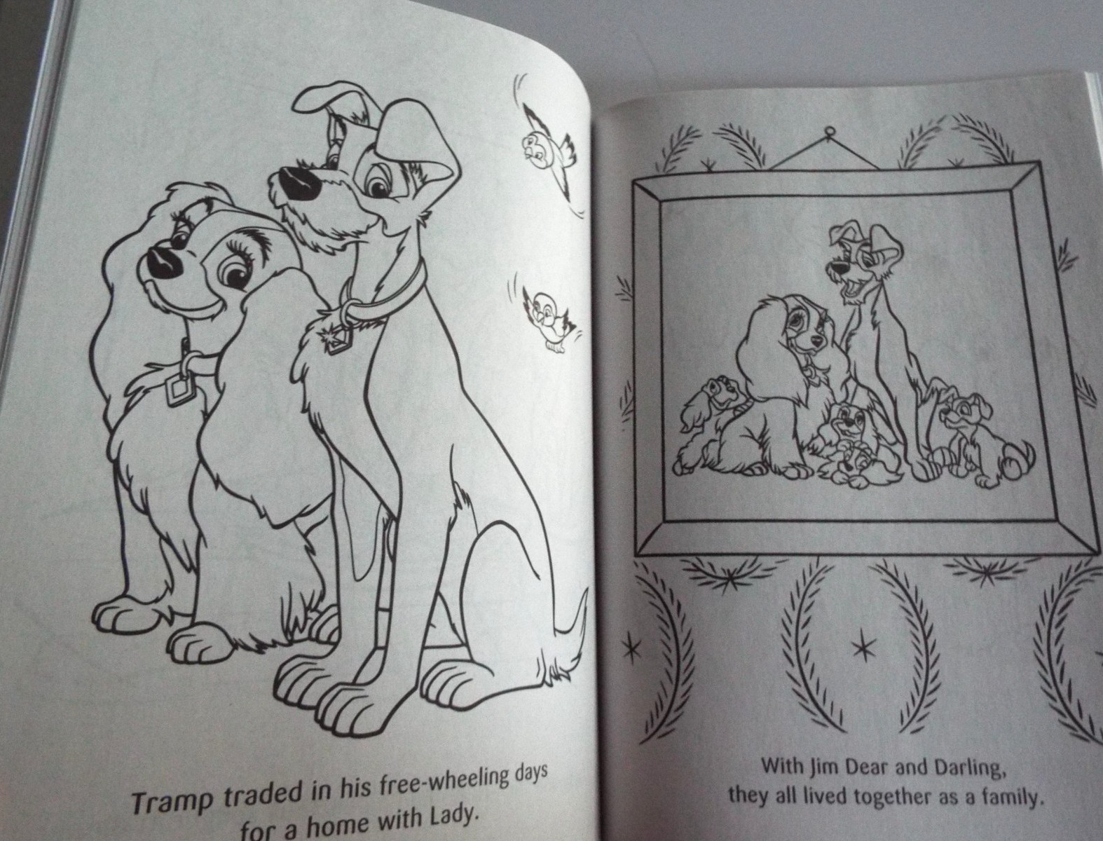 2: Disney Animal Friends Jumbo Coloring &Activity Book & Dreamtivity Stay Wild