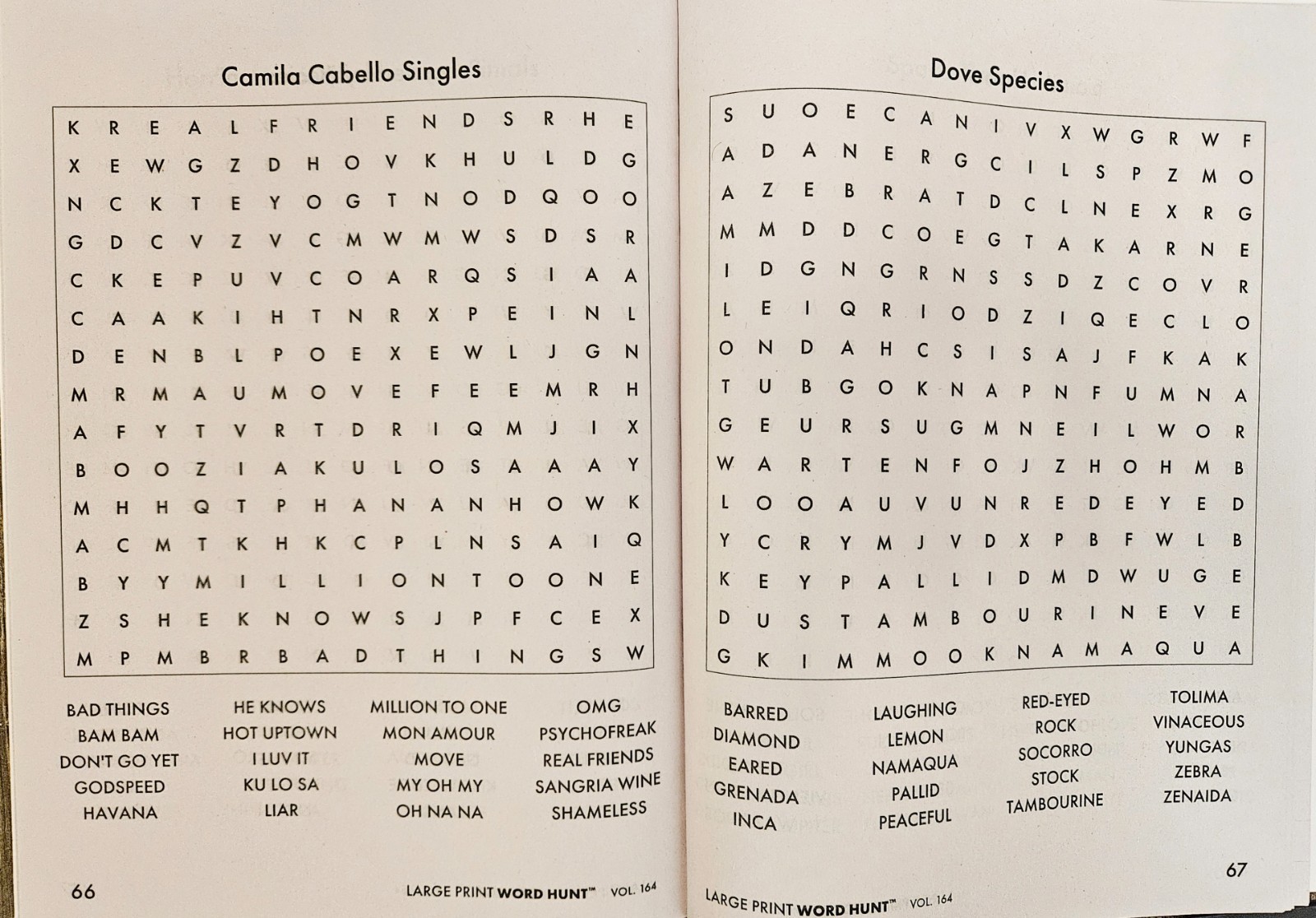 Large Print Word Hunt Vol. 161-164 Set of 4 BRAND NEW