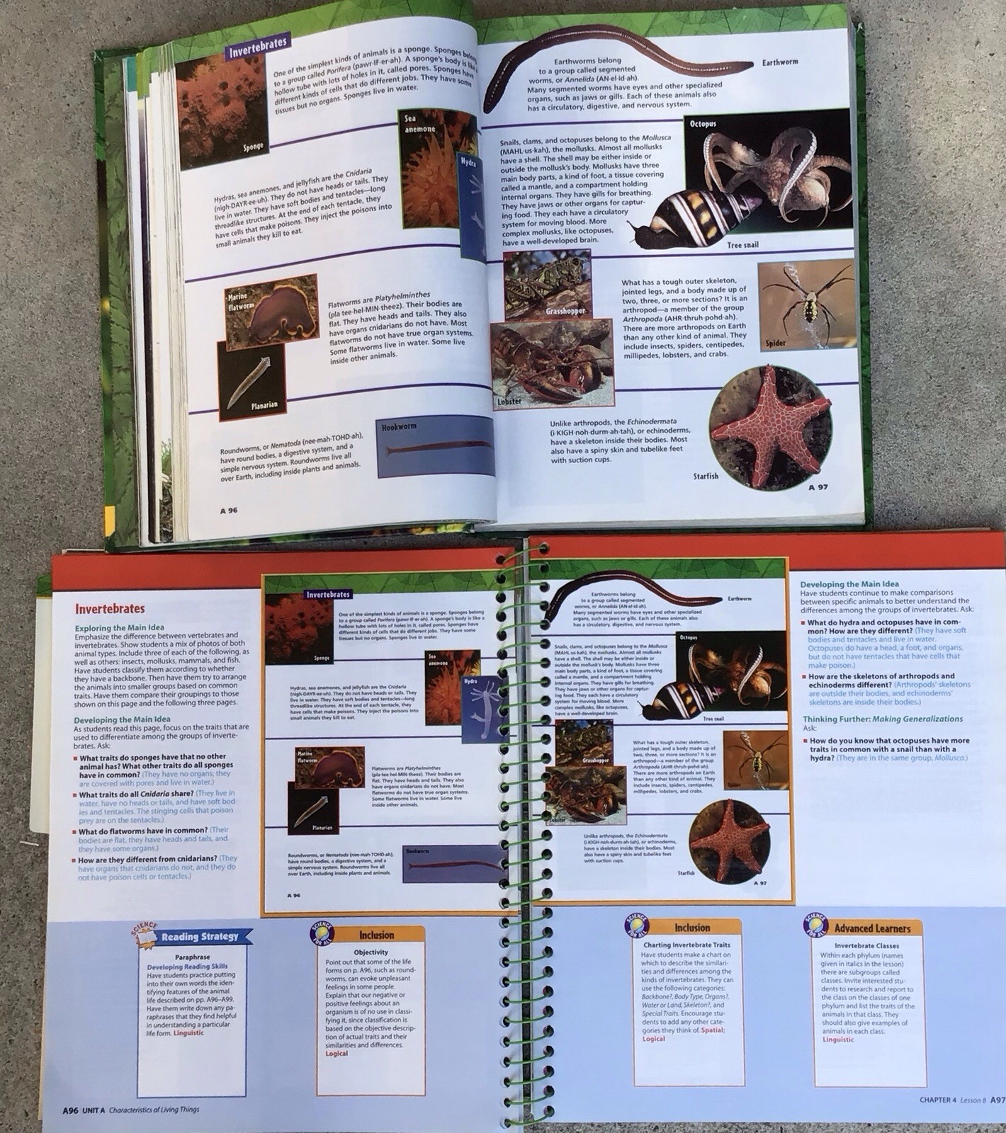 5th Grade 5 Science Teacher Edition Tests Resources Homeschool McGraw Set