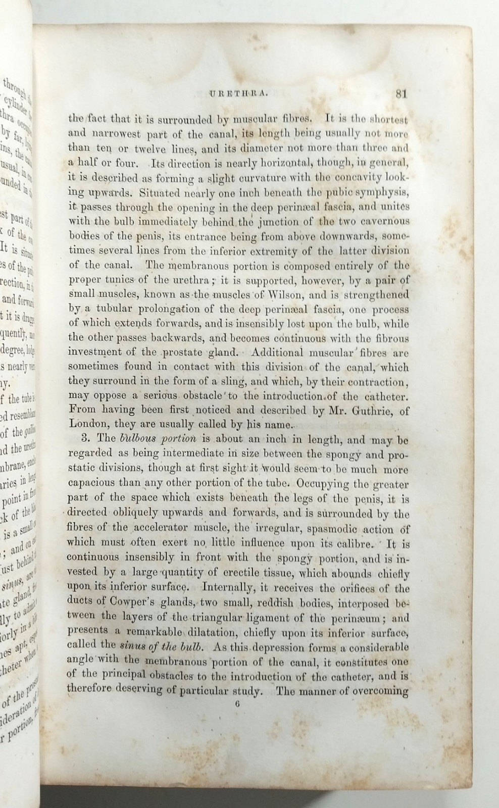 A Practical Treatise Diseases Injuries Urinary Bladder Prostate Gross 1851 HC