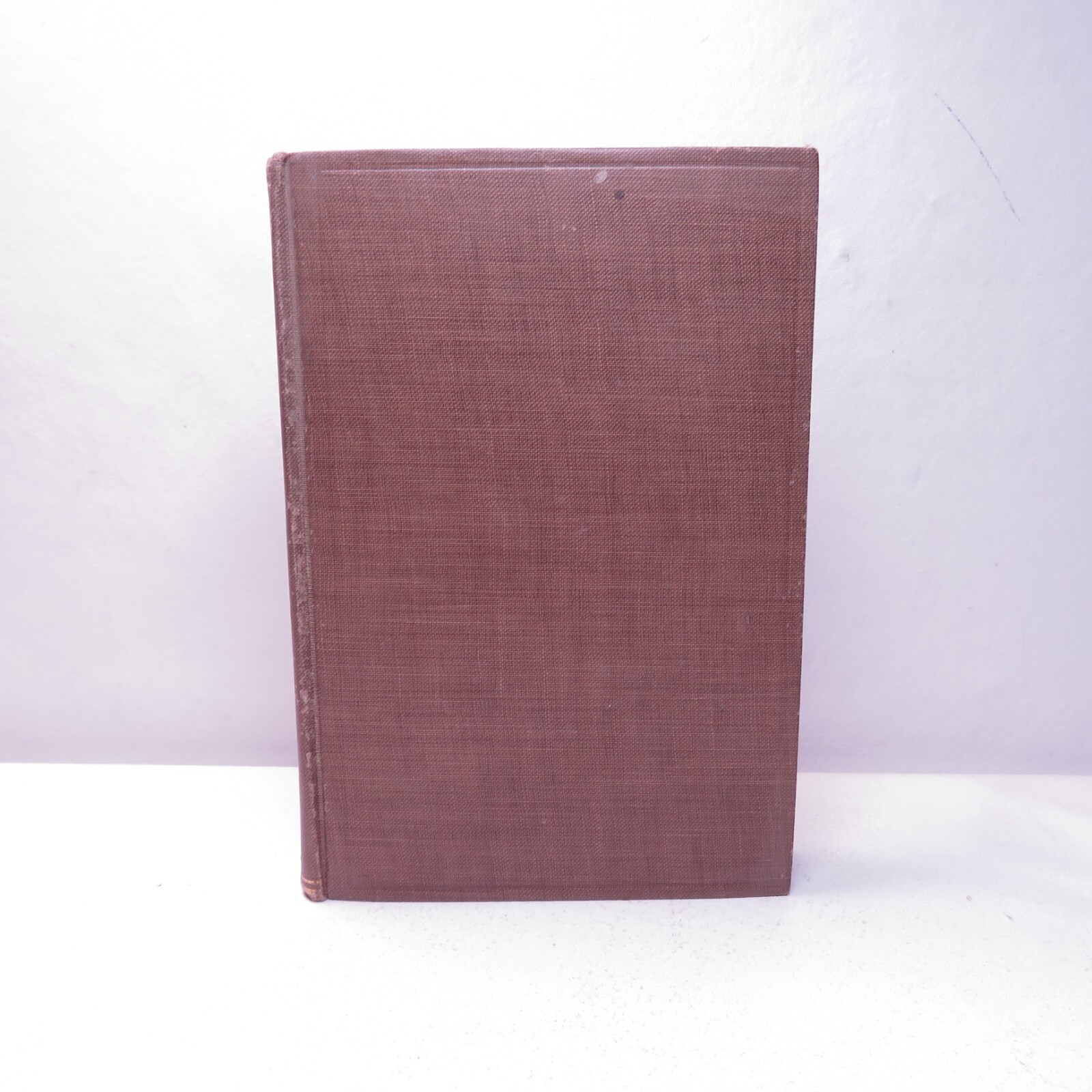 1902 COMPLETE WORKS OF EDGAR ALLAN POE VOLUME VIII Only