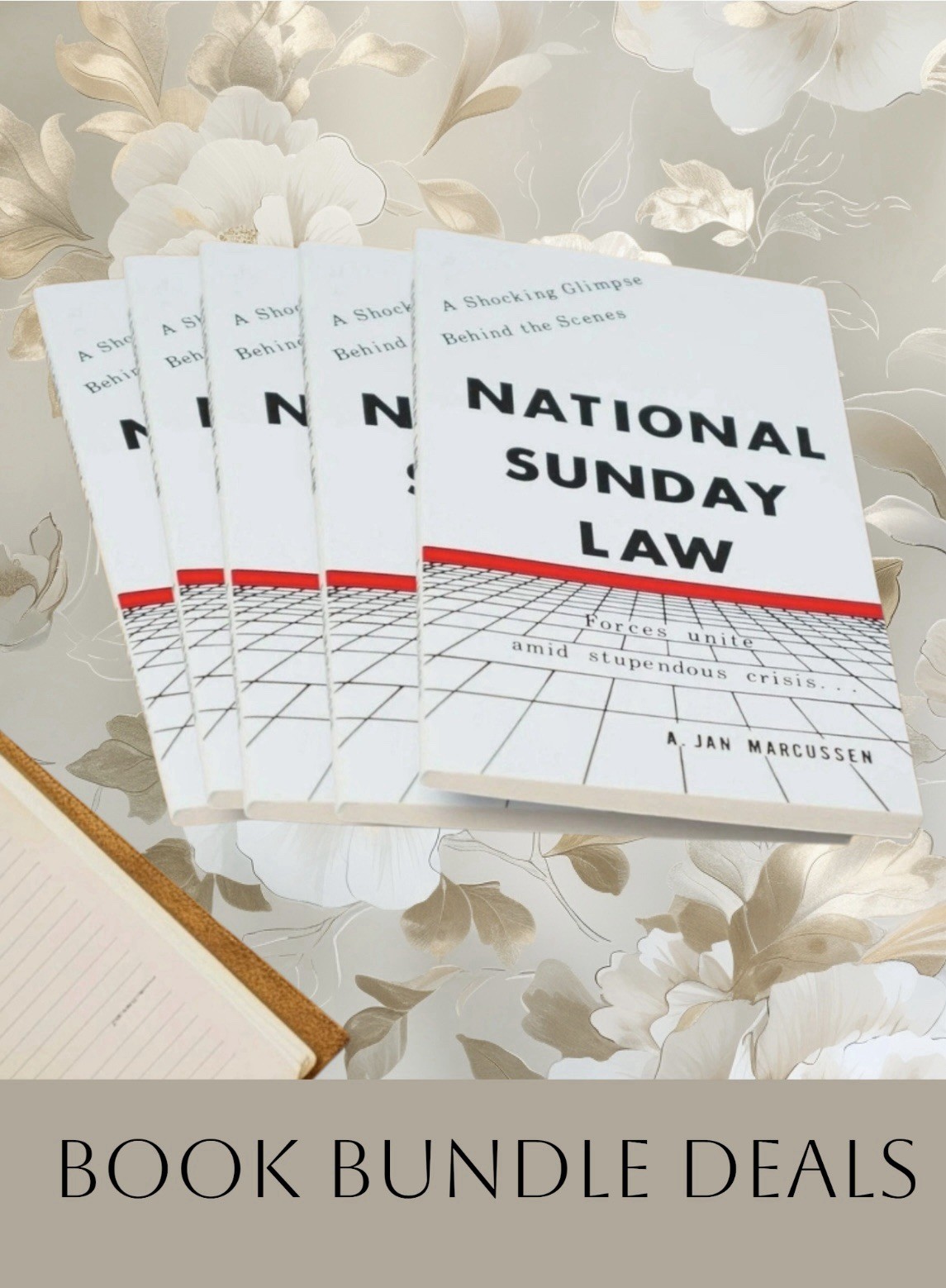 National Sunday Law (bundle Of 5 Books)
