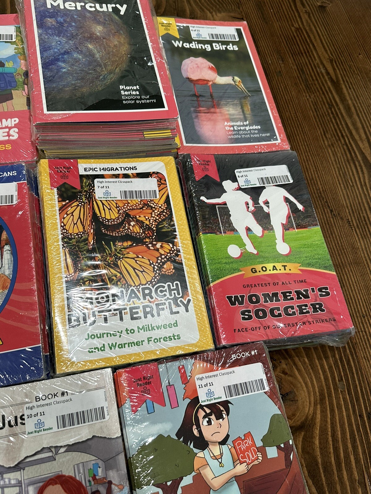 Just Right Reader High Interest Decodables Deluxe Library (1 Copy of 60 Titles)
