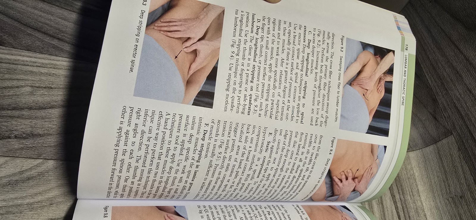Orthopedic Massage : Theory and Technique by Whitney W. Lowe (2009, Trade…