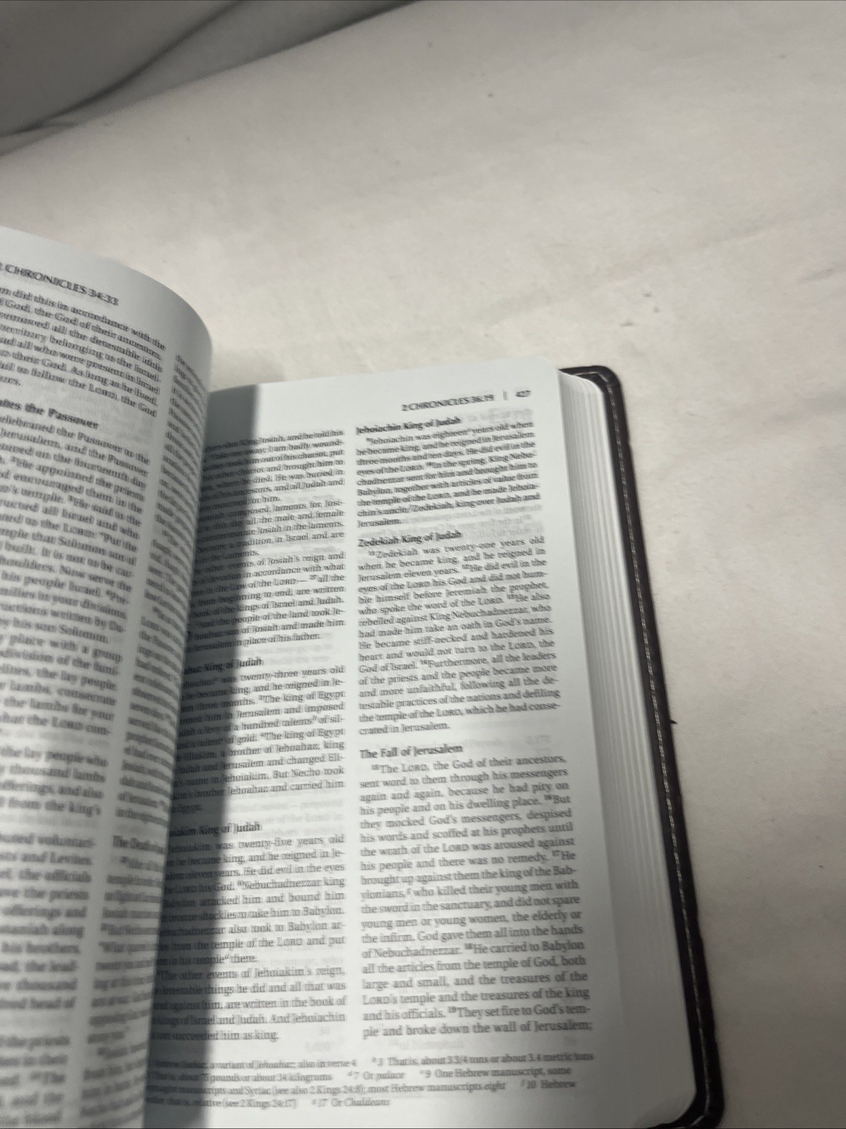 Blue-Gray/ Brown NIV Compact Thinline Bible, Italian Duo-Tone Edition, Biblica/Z