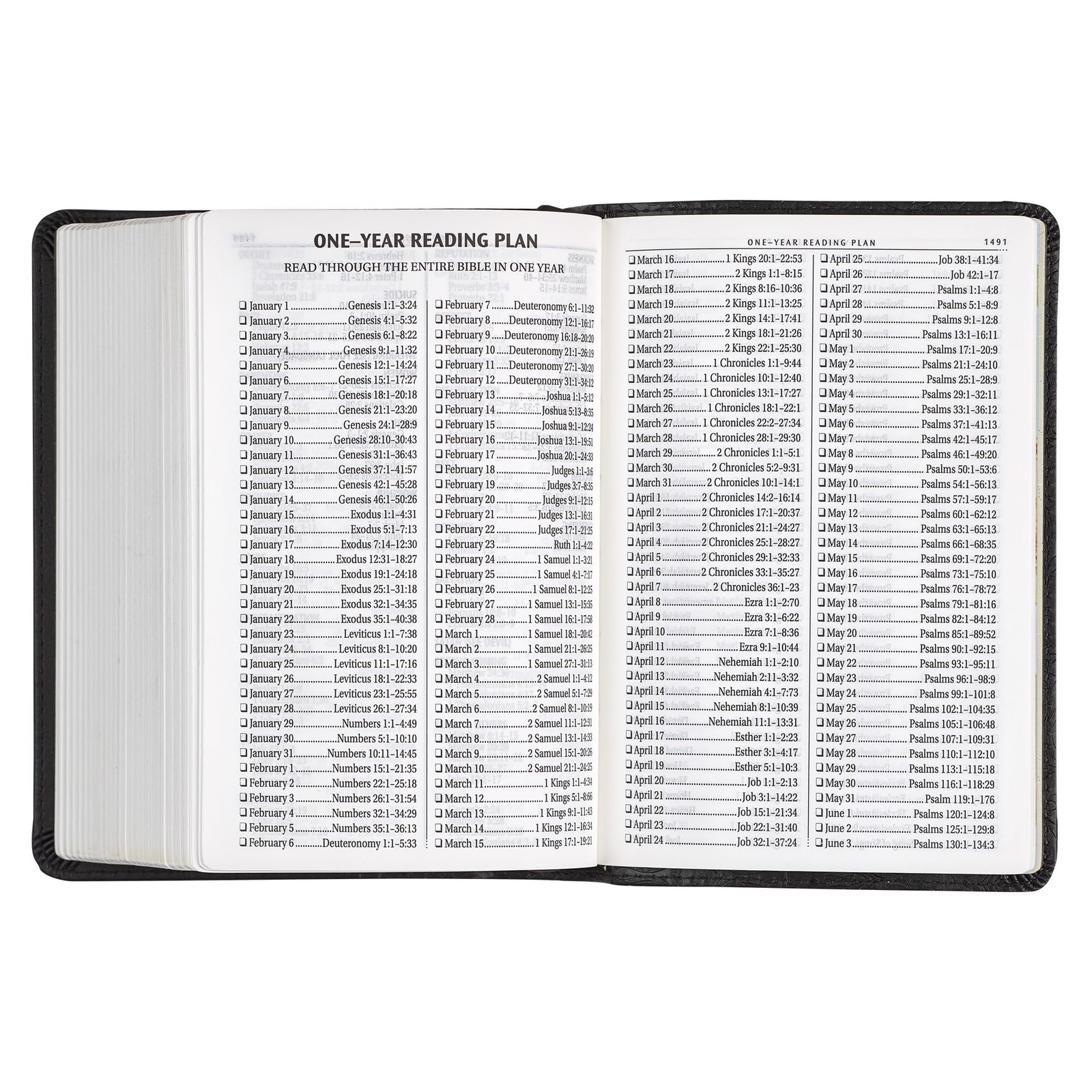 Compact Large Print KJV Holy Bible – Red Letter Edition with Ribbon Marker