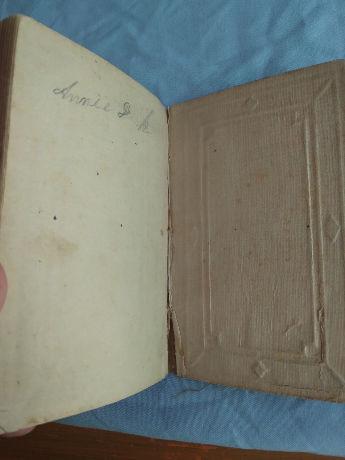 1878 New Testament Bible American Bible Society Christian Shipping Included