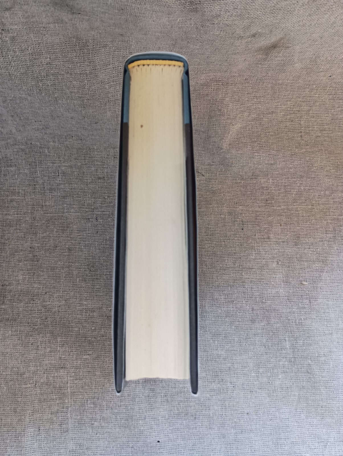 Blue Moon : A Jack Reacher Novel Signed First Edition 2019 Hardcover Dust Jacket