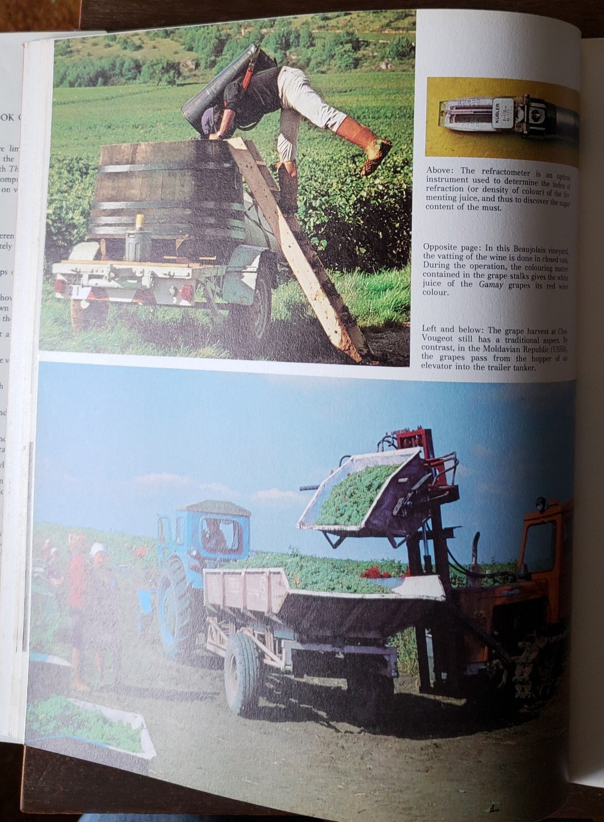 The Great Book of Wine 522 Pages 240 Illustrations 1982 7500 Wines Learn History