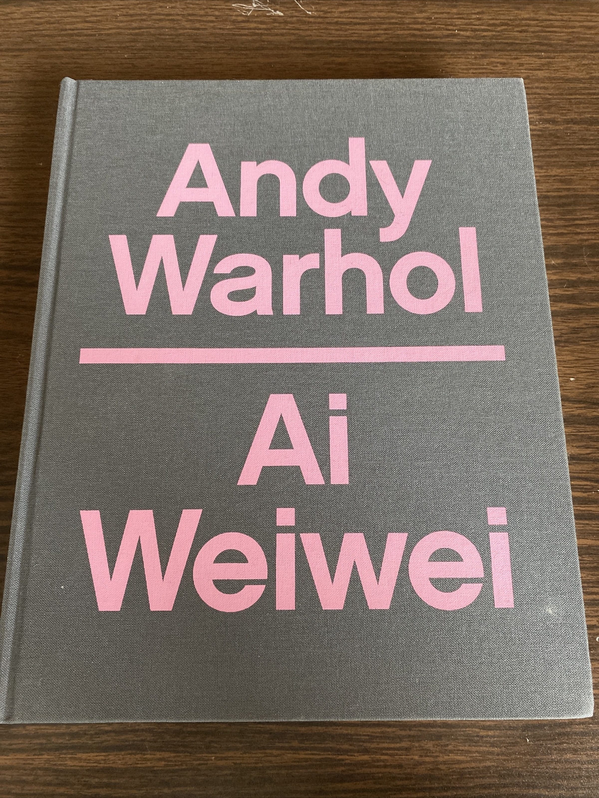 ANDY WARHOL | AI WEIWEI By Max Delany & Eric C. Shiner – Hardcover **Excellent**