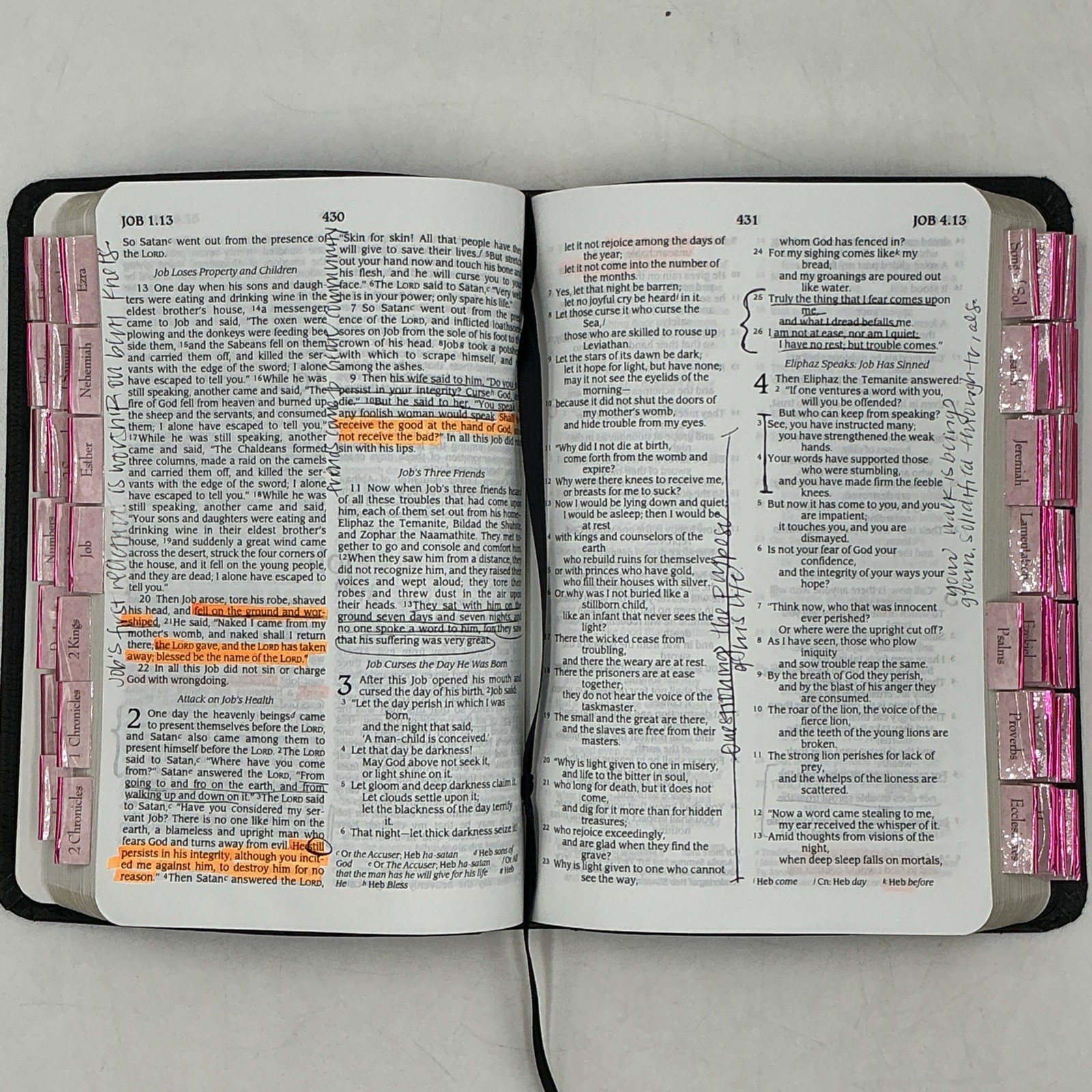 NRSV New Revised Standard Version Premium Bible Black Bonded Leather Abingdon