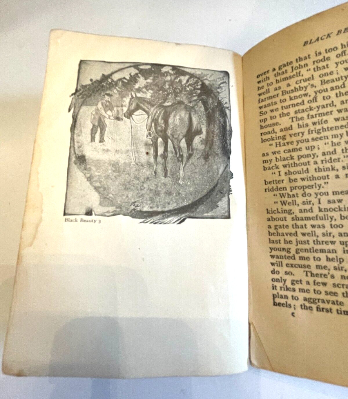 Vintage “Black Beauty” by Anna Sewell – Poor Condition, 254 Pages