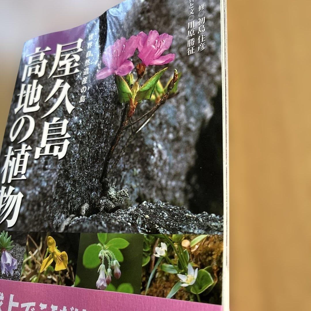 Yakushima Highlands Plants Natural World Heritage Island Book
