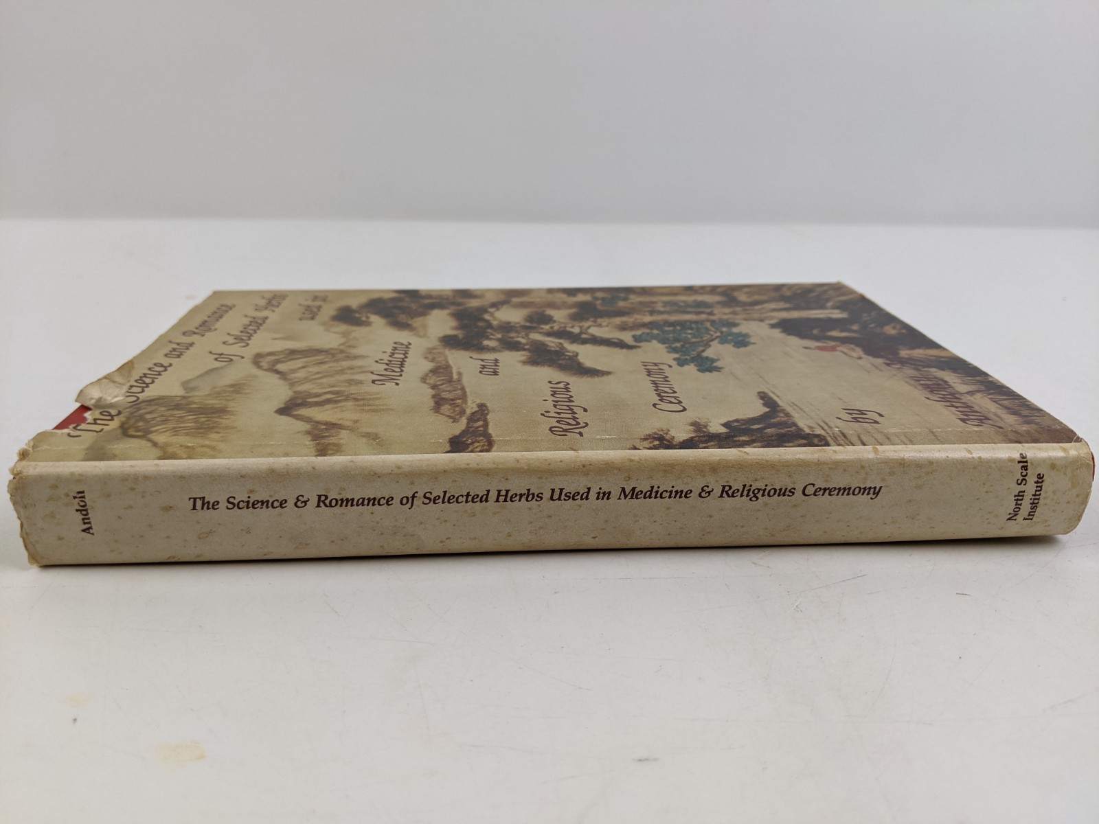 Natural Healing With Tibb Medicine: Medicine of the Prophet Muhammad Al-Akili
