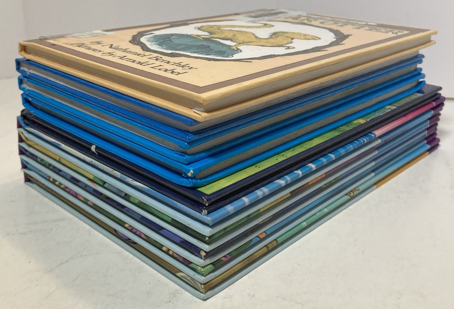 Lot x10 – Level 3 Early Readers – EX-LIBRARY HC – 2nd-4th Grades – I Can Read