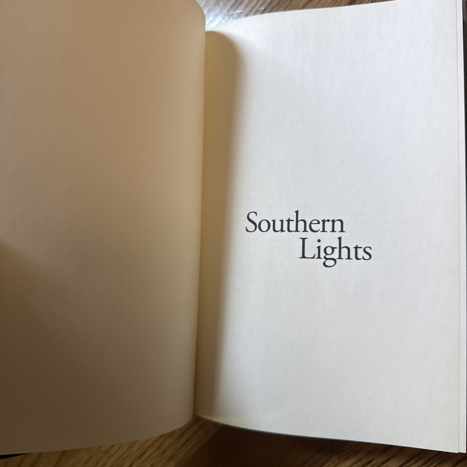 Southern Lights by Danielle Steel (2009, Hardcover)