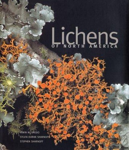 Lichens of North America by Stephen Sharnoff, Sylvia Duran Sharnoff and Irwin M.