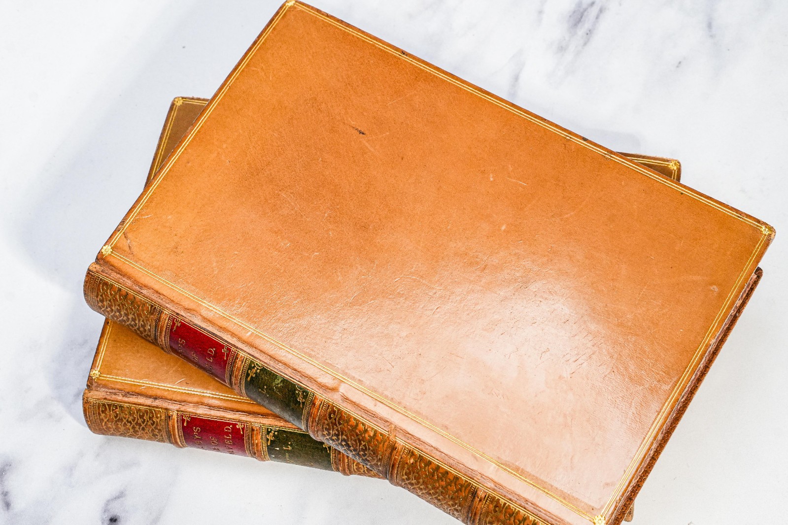 Life and Death John Barneveld Holland John Motely Full Leather Antique Books