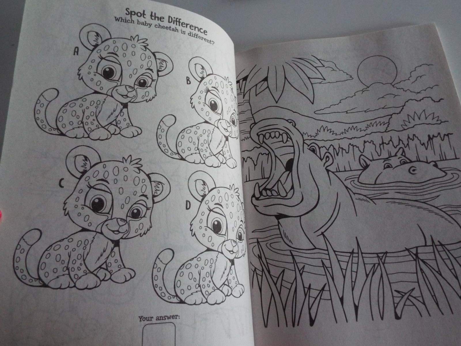 2: Disney Animal Friends Jumbo Coloring &Activity Book & Dreamtivity Stay Wild