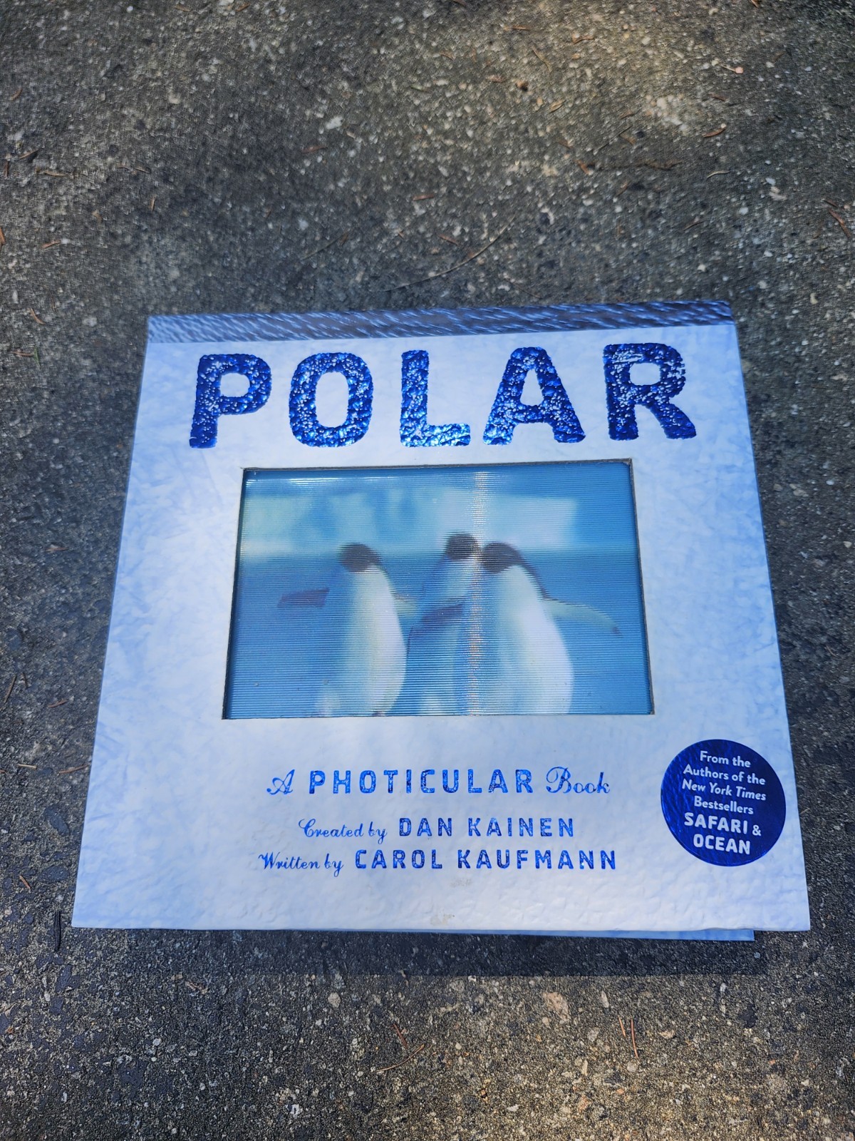 Polar : A Photicular Book by Carol Kaufmann and Dan Kainen (2015, Hardcover)