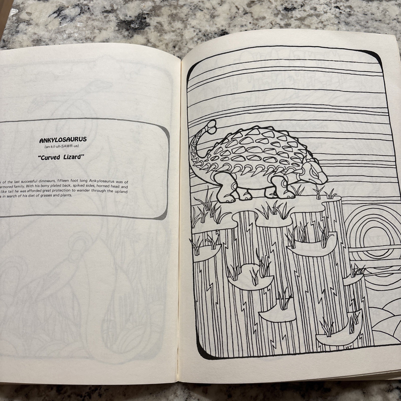Dinosaur Coloring Book Troubador Press 1970 Retro Unused Oversized