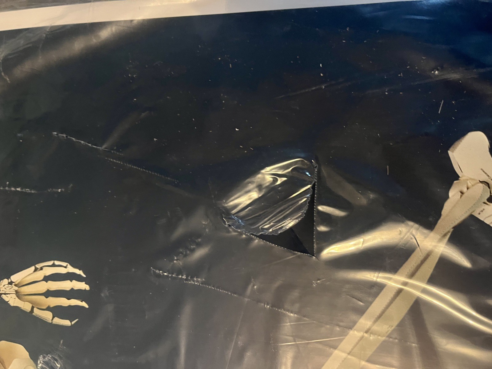 Build Your Own Human Skeleton Cardboard Kit