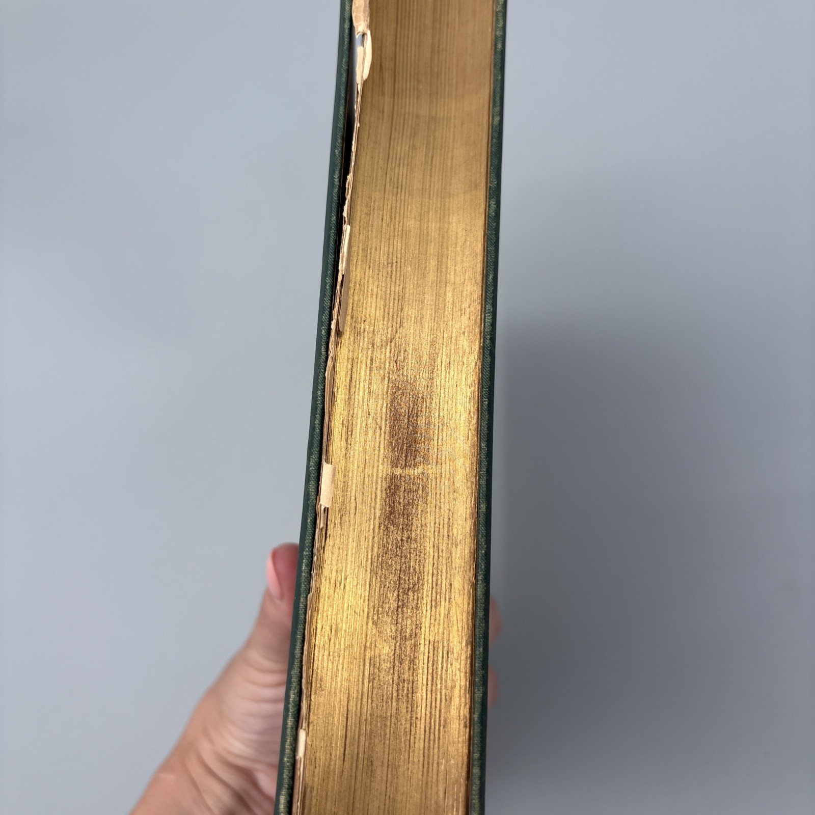 Bryant’s Poetical Works 1878 William Cullen Gilt New York Appleton HC Green