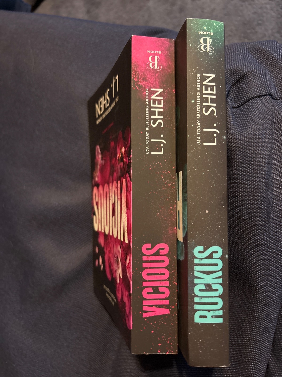 L.J. Shen 2 sinners of saint 1 & 2 paperback book Lot Vicious & Ruckus EXCELLENT