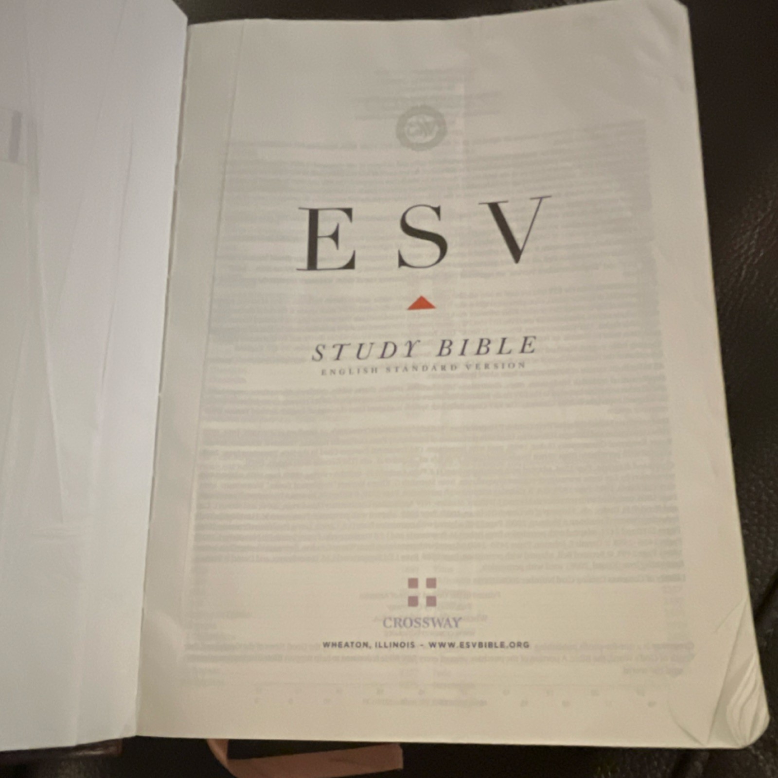 Crossway ESV Study Bible Study Edition Leather Bound w/ Ribbon Marker 2008