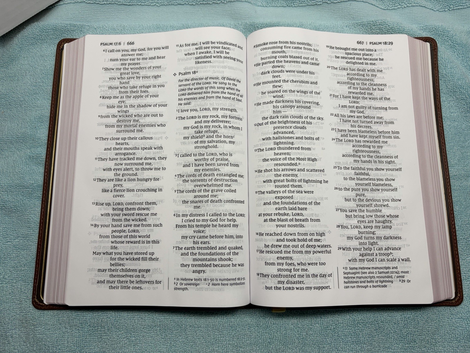 NIV Thinline Bible, Giant Print, Genuine Leather, Buffalo, Red Letter Edition