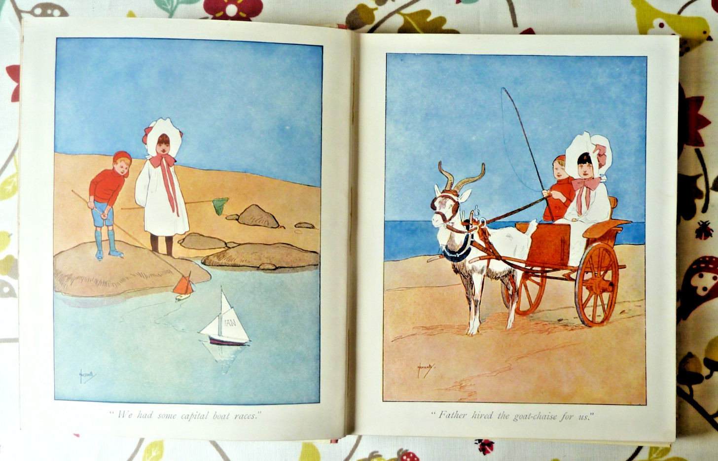 The Volunteers Children’s Book 1905 Thomas Nelson Pictorial Boards