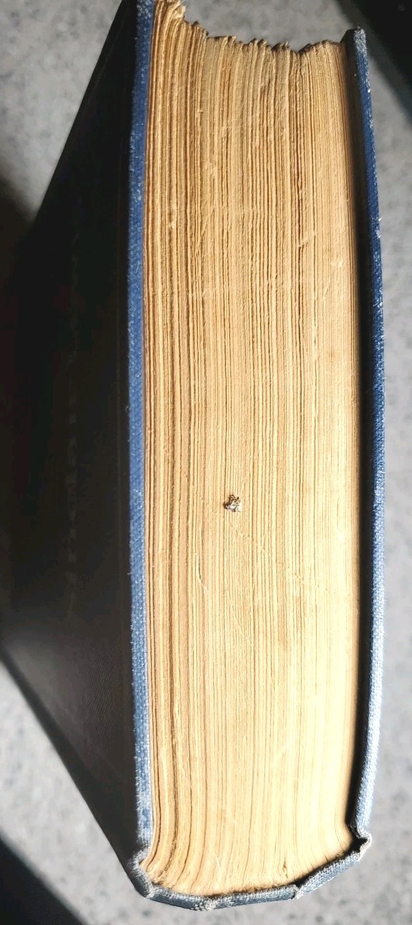 1st Edition Sinclair Lewis 1920s Elmer Gantry 5th Printing 1927