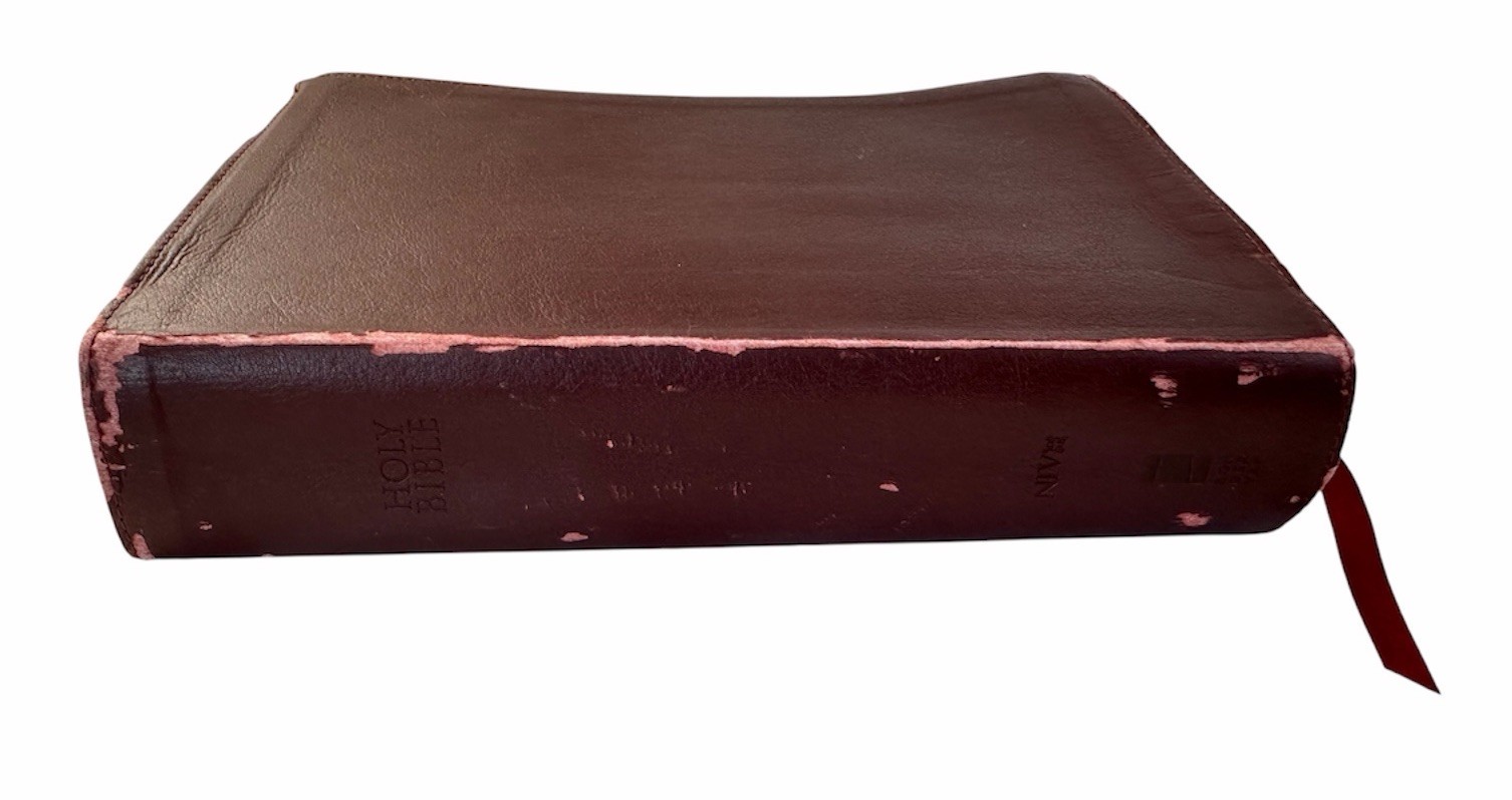 Zondervan NIV Holy Bible 2009 Red Letter Edition Burgundy Cover