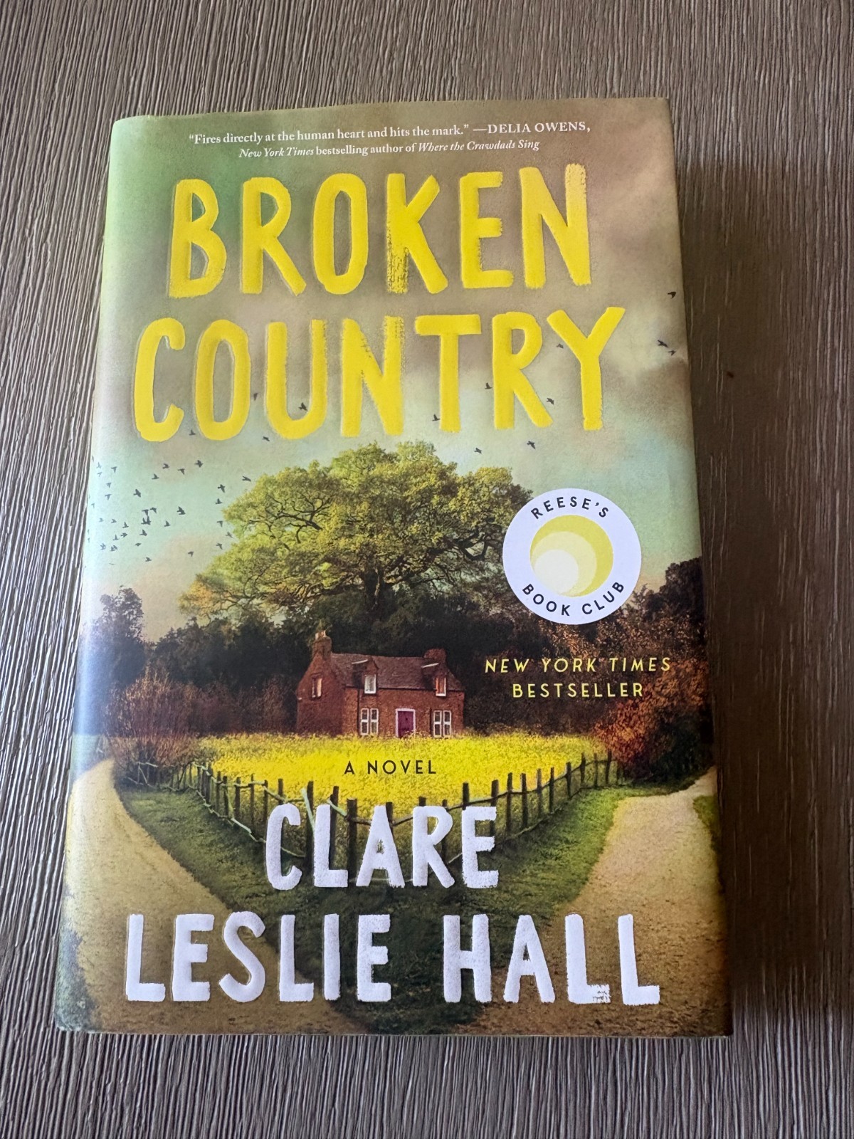 BROKEN COUNTRY NOVEL BY CLARE LESLIE HALL/ HARDCOVER/PRE OWNED
